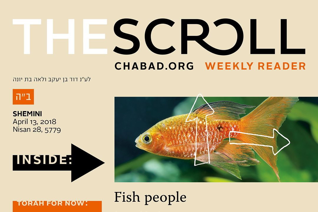 The Scroll
